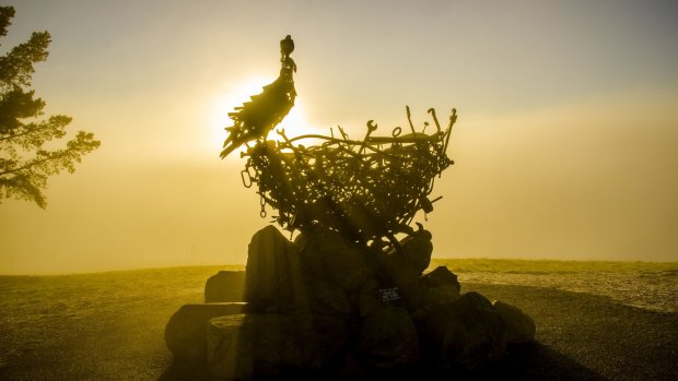Dylan Valentine's picture of the sun rising above the clouds at the National Arboretum.