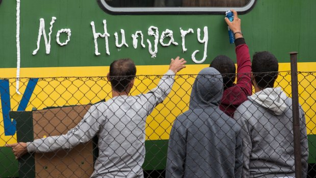 Migrants protest outside a train in Bicske, Hungary, that they refuse to leave for fear of being taken to a refugee camp.