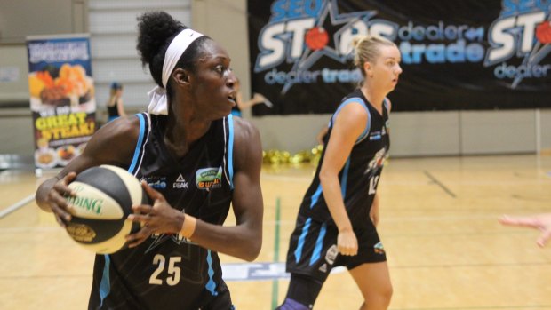 Stars Import Ify Ibekwe sizes up her options with the ball.