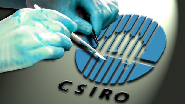 Cuts to CSIRO's climate science capacity have been condemned both here and overseas.