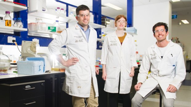 Team of researchers at ANU (l-r) Associate Professor Colin Jackson, Eleanor Campbell and Galen Correy just completed a groundbreaking study into how enzymes can be made.