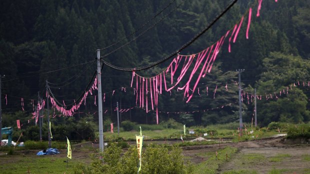 Pink ribbons signaling a decontamination operation being carried out in Kawamata town, Fukushima last month.