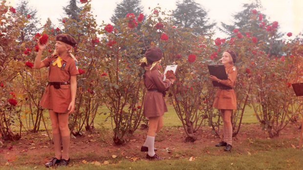 2nd Hughes Brownies in 1974 in what looks like the OPH rose garden.