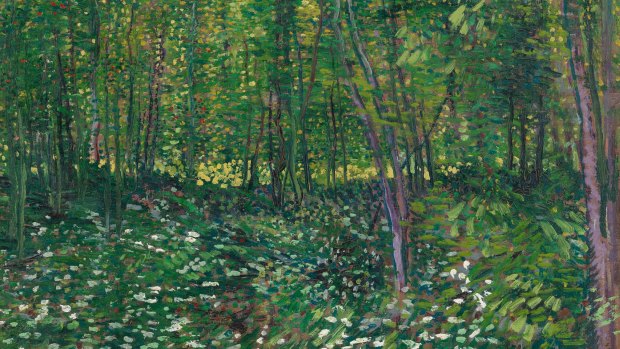 Trees and undergrowth, July 1887, Paris (detail).
