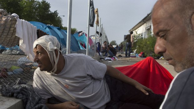 A man with a head bandage after he was struck by a police officer the previous day when clashes broke out between protesting refugees and the Hungarian police after the Horgos border was sealed.