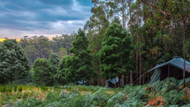 Luxurious safari tents, Bruny Island.