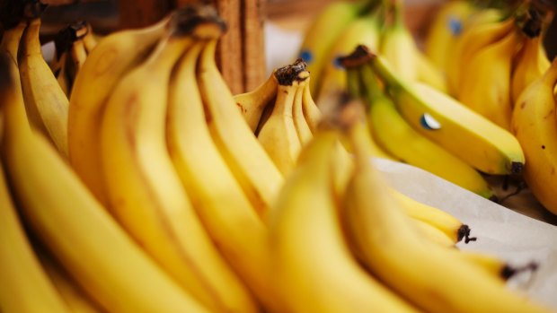 The Panama TR4 disease could have a devastating impact on the Queensland banana industry.
