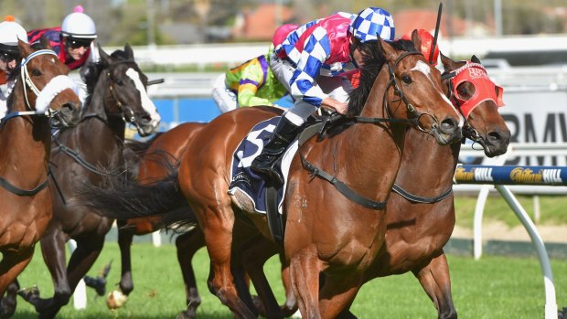 Damien Oliver riding Fell Swoop to victory at Caulfield in 2015. The champion jockey is gunning for three in a row on board the gelding at the Oakleigh Plate on Saturday. 