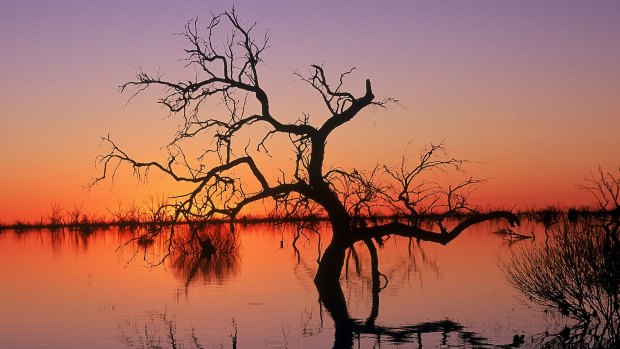 Reflections in Lake Menindee at sunset, Kinchega National Park,NSW .