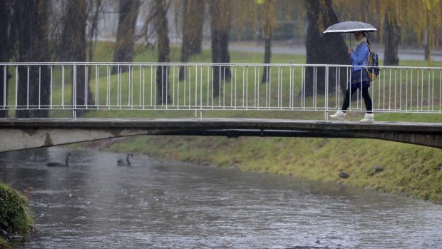 Sullivans Creek at the ANU on Wednesday.