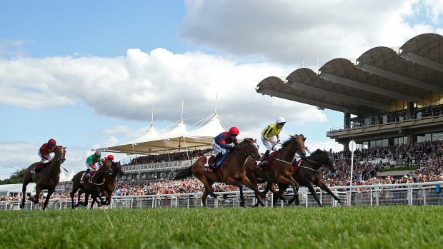 Melbourne bound: Big Orange (right) takes out the Goodwood Cup in a tight finish.