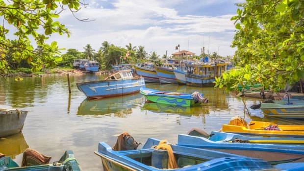 A Negombo Lagoon boat ride will show you birds, mangroves, small fishing villages and outrigger fishing boats.