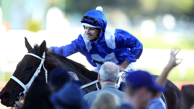 Unbackable: WInx will start the shortest priced favourite in a Cox Plate since Phar Lap on Saturday.