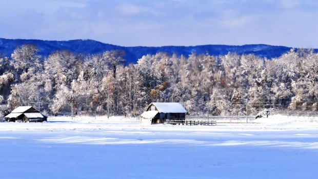 Hokkaido: Beauty in the derelict.