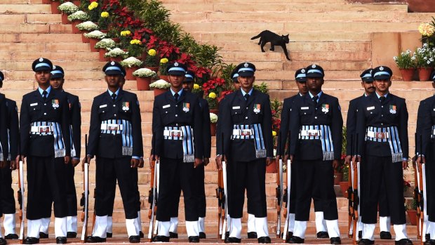 A cat stalks down the stairs at India's Presidential Palace in Delhi as an honour guard awaits Sri Lankan President Maithripala Sirisena at a ceremony this month. 