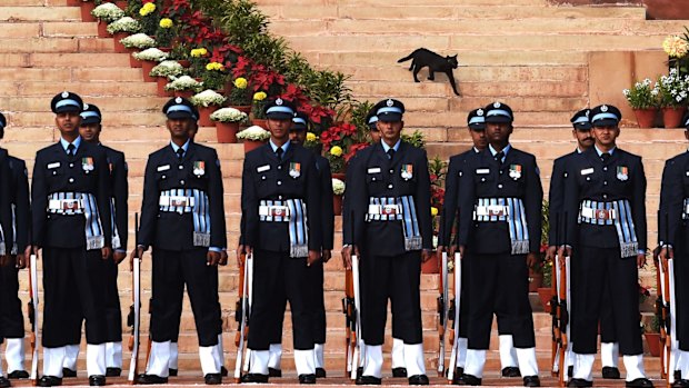 A cat stalks down the stairs at India's Presidential Palace in Delhi as an honour guard awaits Sri Lankan President Maithripala Sirisena at a ceremony this month. 