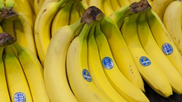 Talks have ceased between the Robson family, whose banana farm is infected with Panama disease Tropical Race 4, and the banana growers council.