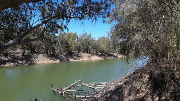 The NSW water inquiry will examine among other things prospects for the Darling River, which is now not flowing over much of its course.