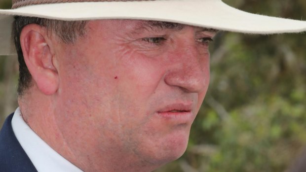 What started as a storm in Barnaby Joyce's teacup has grown into a whirlwind powerful enough to blow him out of office.