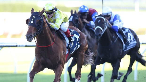 Star status: Criterion surges to victory in the Queen Elizabeth Stakes at Randwick. 