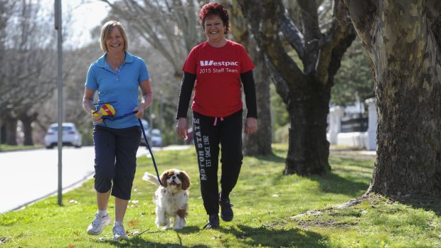 Taking part in the 5km walk on Sunday for The Canberra Times FunRun event are Anne Pratt, manager of HOME in Queanbeyan, left and Jo Percy, manager of the Fyshwick branch of sponsor WESTPAC. Joining them in a training session in the back streets of Queanbeyan is Benny the HOME pet.