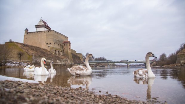 The Ivangorod castle by the Narva River.