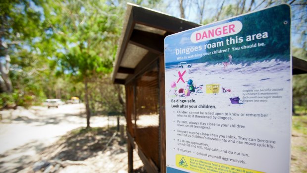 A dingo warning sign on Fraser Island.