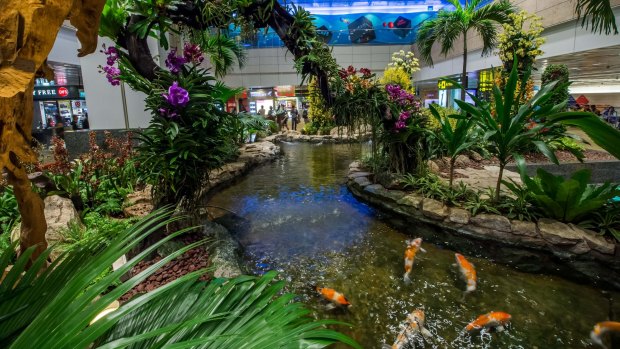 Terminal 2's Orchid Garden Koi Pond. 
