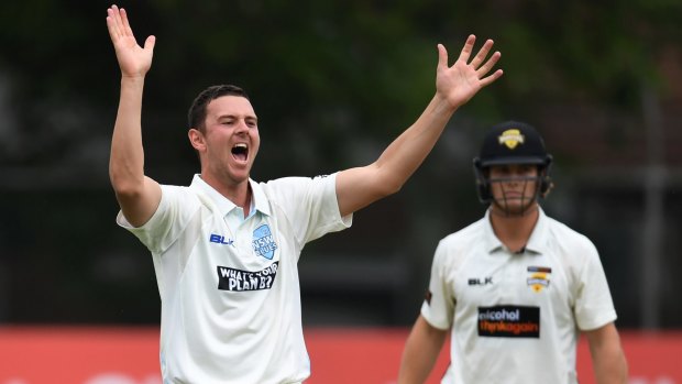 Back in the attack: Josh Hazlewood on song against Western Australia on Sunday.