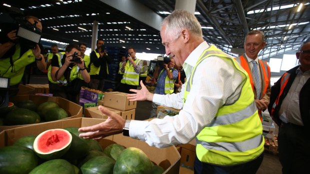 Prime Minister Malcolm Turnbull admires the watermelons at the Brisbane Markets on Monday.