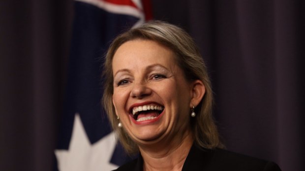 Health minister Sussan Ley has found a more successful approach than her predecessor.