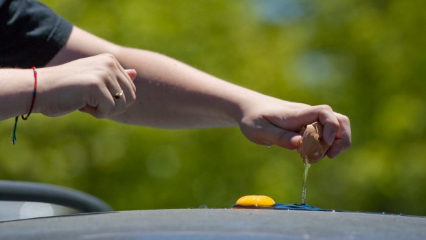 Science Communicator at Questacon Michelle Cooper tries to cook an egg on the roof of a car. 