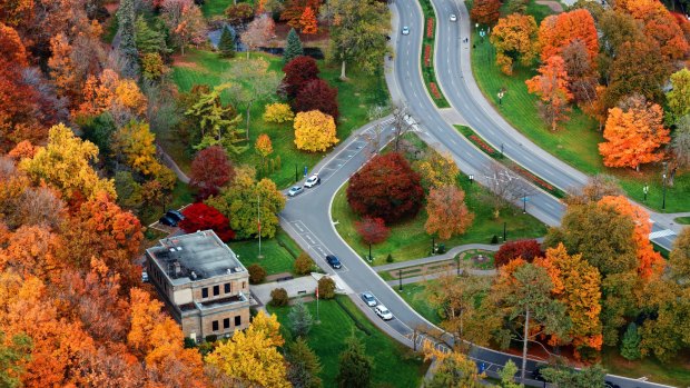 Aerial view of Niagara Parkway.