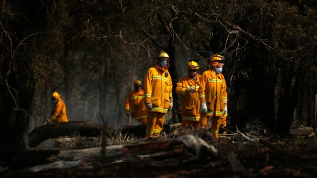 CFA firefighters contain a bushfire.
