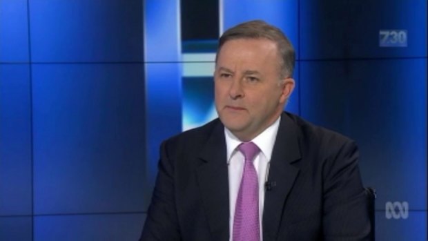 Anthony Albanese says no one is leader indefinitely, but he stands behind Bill Shorten.