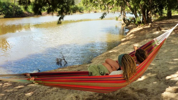 With record high water temperatures, this week it's almost cooler swinging in a hammock than splashing in the water at Casuarina Sands, one of several popular swimming holes along the Murrumbidgee River in Canberra.