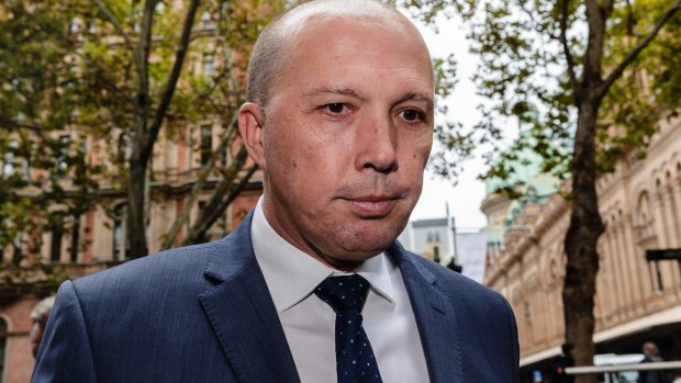 Immigration Minister Peter Dutton has criticised companies agitating for the government to take action on marriage equality.