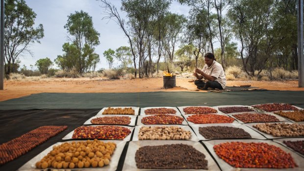 Bush tucker during a Karrke Aboriginal Cultural Experience.