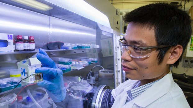 PhD student The Duong with the Perovskite cell.