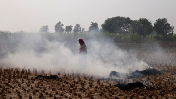 A farmer walks through smoke caused by farming waste set on fire at Palwal, in the state of Haryana, south of New Delhi on November 4. 