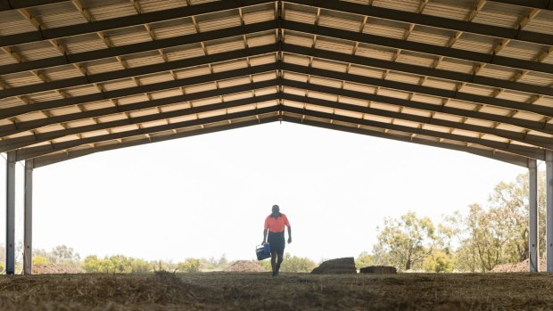 One of the huge hay sheds at Jenharwill Baling's Elmore property in northern Victoria. 