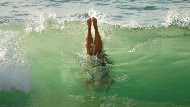 A woman dives into a wave during a warm spring morning at Bondi Beach on Wednesday.