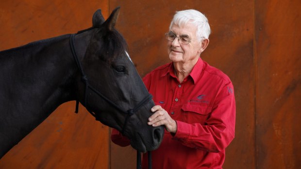Terry Snow with his Australian stock horse Erin: "I'm besotted by horses." 