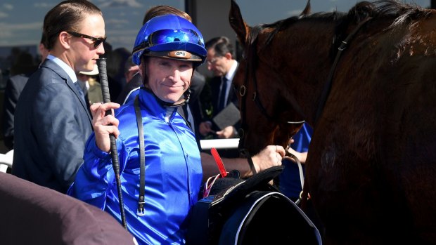 Taking his chances: Glyn Schofield likes the Godolphin shade of blue after winning on Alizee during the week.