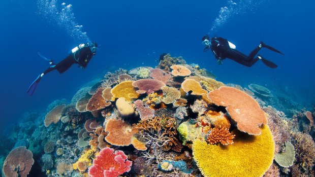 The Great Barrier Reef is one of Queensland's major tourist drawcards.