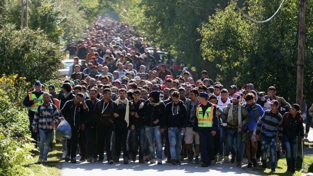 Hundreds of migrants walk into Austria from Hungary.