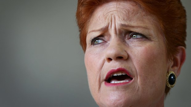 One Nation leader Pauline Hanson  