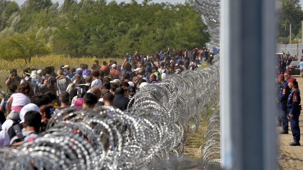 Migrants walk along the border fence between Serbia and Hungary, near Horgos, Serbia on Tuesday. Hungary has declared a state of emergency in two of its southern counties bordering Serbia.