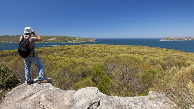 The view along the Manly to Spit walk.