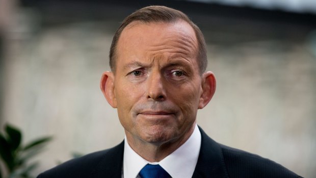Prime Minister Tony Abbott says the search for MH370 "must go on".